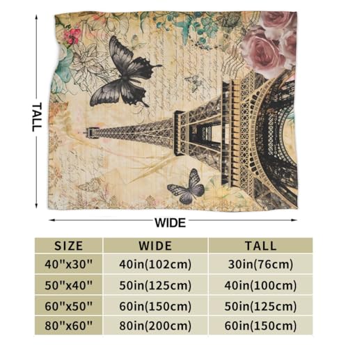 Vintage Paris Throw Blanket, Floral Eiffel Tower French Cityscape European Culture Element Warm Cozy Flannel Soft Blanket for Couch Chair Sofa Bed Bedroom Living Room Car for All Season 30"x 40" - color: Country06, size: 30X40 inch