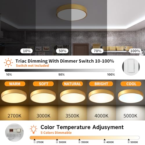 Flush Mount Ceiling Light Gold 12 Inch LED Dimmable Ceiling Light 24W 5CCT(2700K-5000K) Bedroom Lamp Entryway for Bedroom Foyer Kitchen Entryway Closet Hallway - color: Gold