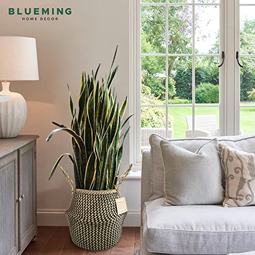 Blueming Home Wicker Plant Basket – Large Seagrass Floor Pot for Faux Olive Tree or Snake Plant, Black Decorative Woven Indoor Planter for 9-10 Inch (Black, Large) - color: Black, size: Large
