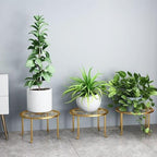 Hewnda 1Pack Metal potted plant stand, rust-proof iron flower pot stand, heavy duty pot stand for indoor patio (Gold)