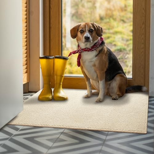 Softlife Rugs for Entryway Doormat 2x3 Faux Jute Rug Dirt Trapper Small Rug Washable Door Rugs Kitchen Mat Modern Farmhouse Carpet for Front Porch Bathroom Kitchen Bedroom, Cream Beige - color: Cream Beige, size: 2' x 3' (24"x36")
