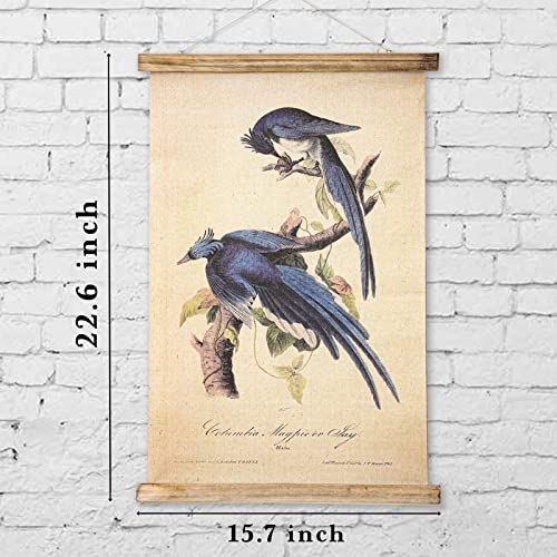 ABoby Vintage Birds Hanging Poster, Retro Style of Wall Art Prints, Printed on Linen with Wood Frames, Ready to Hang - color: Birds