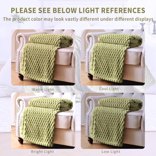 PLEASANT BOULEVARD Fleece Throw Blanket for Couch with 3D Turtle Shell Jacquard Soft Blanket, Fuzzy Blanket for All Seasons 50x60 Inches, SAGEGREEN - color: Sagegreen, size: 50x60in