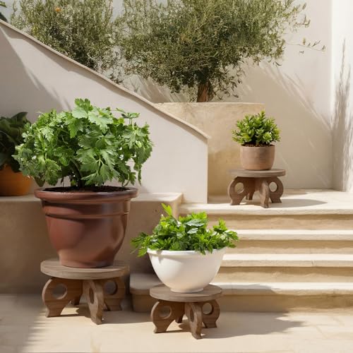 Threehoney 3 Pcs Plant Stand Indoor 8/9/11" Round Wood Plant Stands Outdoor Round Risers Decorative Wooden Stool for Flowers Pedestal Board Holder for Rustic Balcony Garden Decor (Walnut Color,Low) - color: Walnut Color