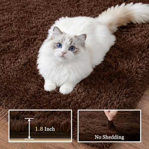 Fluffy 4x6 Area Rugs for Living Room Bedroom: Ultra Soft Shag Rug Non-Slip Non-Shedding Small Plush Bedside Rug Indoor Floor Carpets for Kids Room Playroom Entryway Nursery Dorms Home Decor Brown - color: Brown, size: 4' x 6' (Rectangular)