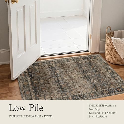 Ruaruarug Washable Area Rug 2x3 for Kitchen Entryway Living Room Bedroom, Ultra Soft Non Slip Stain & Fade Resistant, Pet & Kids Friendly, Suitable for High Traffic Areas Easy to Clean, Camel - color: Camel, size: 2' x 3' (Rectangular)