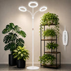 LBW 3-Head Grow Light with Stand for Indoor Plants, Full Spectrum Grow Light for Tall Large Plants, Adjustable Height up to 68", Auto Cycle Timer 6/8/12/16H, 5-Level Dimming, 3 Lighting Modes,White - size: 3 Head 6.3" White