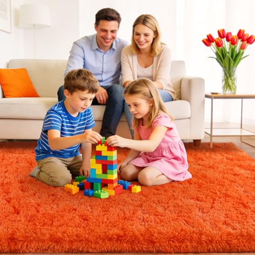 Area Rugs for Living Room Bedroom 9x12, Ultra Fluffy Shag Rug Modern Washable Carpet Soft Shaggy Non Slip Indoor Plush Fuzzy Rugs for Bedroom Dorm Office Home Aesthetic Decor, Orange - color: Orange, size: 9' x 12' (Rectangular)