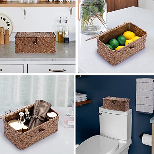 Hipiwe Wicker Shelf Baskets Bin with Lid, Handwoven Seagrass Basket Storage Bins Rectangular Household Basket Boxes for Shelf Wardrobe Home Organizer, Coffee X-Small - color: Coffee, size: X-Small