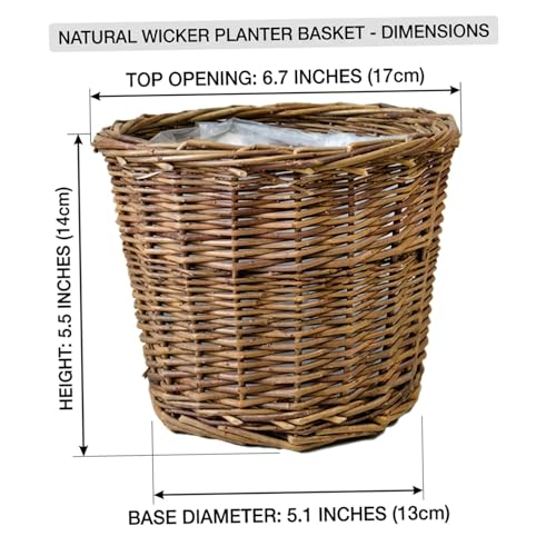Wicker Planter Basket with Waterproof Liner - Handwoven Natural Brown Willow Plant Basket for Indoor Plants, Home Decor, and Garden Decor (6.7x5.5 Inch). - color: Style 2