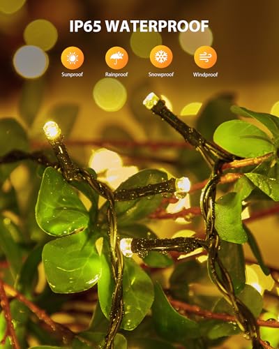 Brightown Solar String Light for Outside, 50Ft 120 LED Solar Lights Outdoor Waterproof, Solar String Lights Outdoor with 8 Modes, for Outside Garden Tree Party Decor(Warm White) - color: Warm White, size: 1 pack