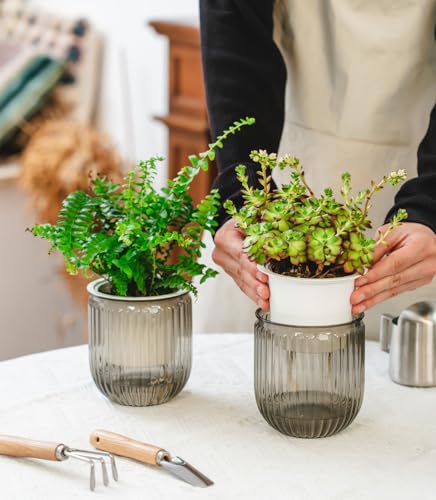 Josteve 4.5 Inch 2 Pcs Self Watering Hanging Planter Indoor Plant Pots Drainage Holes, Outdoor Small Hanging Planters Flower Pot Basket, Visible Water Level, Plant Hanger Home Decor, Gardening - color: Gray, size: 2*4.5 inch