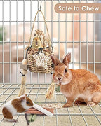 Bissap Bunny Chew Toys, Natural Seagrass Hanging Basket Chews Water Plant Woven Chinchillas Chewing Treats for Rabbits Guinea Pigs Chinchillas Hamsters Rats and Other Small Pets Teeth Grinding Toy - style: Modern