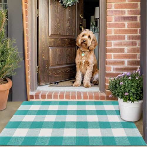 Ckorzen Green and White Plaid Rug, 28" x 43" Spring Outdoor Front Porch Door Decor Mat, Washable Cotton Woven Farmhouse Area Rug for Layered Door Mats Carpet, Entryway, Easter Décor - color: Green & White, size: 2'4" x 3'7" (Rectangular)