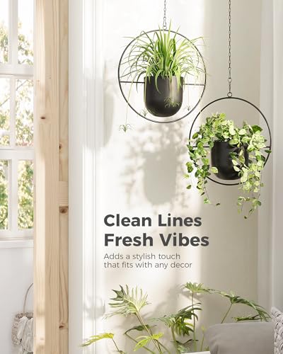 Bamworld Black Hanging Planters for Indoor Outdoor Plants Metal Hanging Pots for Plants 5.5 Inch Modern Hanging Basket Window Plant Hanger Ceiling Hanging Flower Pot with Chain for Wall Decor (Round) - size: Round - 5.5in