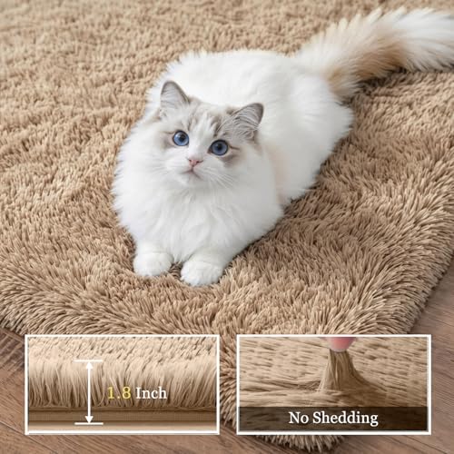 Fluffy Area Rugs 9x12 Living Room Bedroom: Ultra Soft Shag Rug Upgrade Non-Slip Non-Shedding Large Fuzzy Plush Carpet Indoor Floor Carpets for Kids Room Playroom Nursery Dorms Home Decor Beige - color: Beige, size: 9' x 12' (Rectangular)