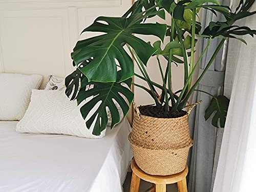 Large Woven Seagrass Belly Basket for Plant, Grocery, Picnic, 12" Diameter x 14" Height - size: XXL (12" D x 14" H)