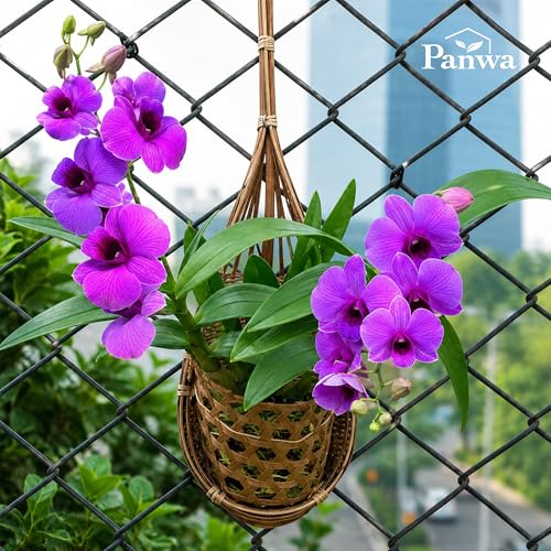 Handmade 100% Thai Bamboo Hanging Orchid Basket – 4 Inch Set of 6 - color: 4 Inch 6-pack