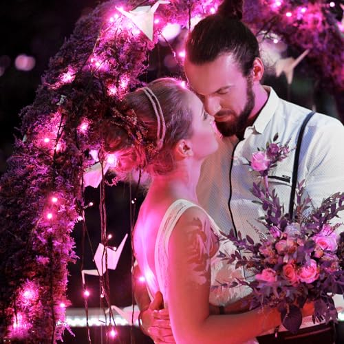 2 Pack Christmas Lights Outdoor, Total 200FT 600LED String Lights for Outside Waterproof with 8 Modes, Green Wire Twinkle Lights for Indoor Room Patio Garden Party Decorations, Pink - color: Pink, size: 200FT 600LED