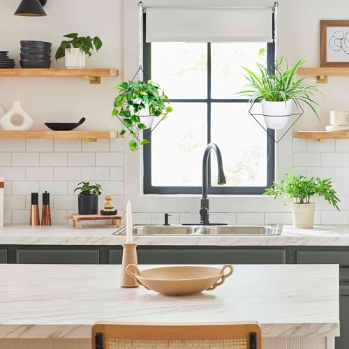 Koalaime Hanging Planters for Indoor Plants, 2 Set Self Watering Hanging Flower Pots, Modern Hanging Plant Baskets with Metal Plant Holder & 6.5 Inch Plastic Pots for Garden Home Decor (White) - color: Black Frame White Pot