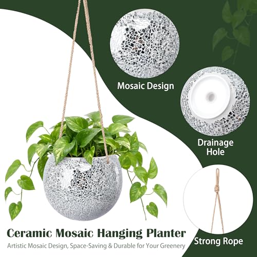 Hanging Planter Mosaic Garden Pot Small Flower Pot for Indoor Plant Disco Ball Hanging Planter with Drainage Sliver - color: Silver