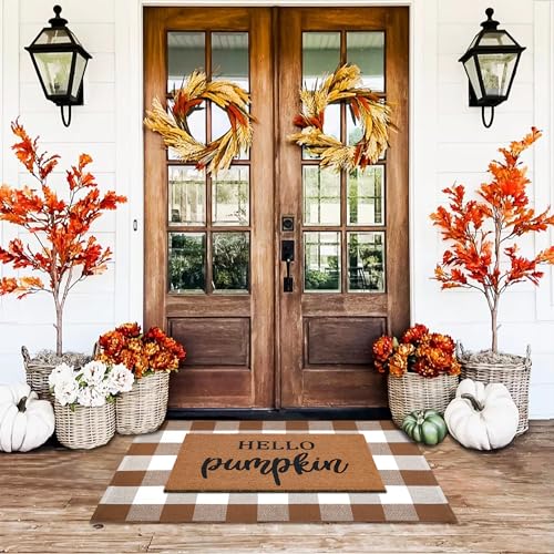 Homydecor Buffalo Plaid Outdoor Rugs, 28'' x 43'' Coffe and White Checkered Area Rug, Layering Rug for Hello/Welcome Door Mat, Washable Cotton Woven Farmhouse Mat for Front Porch Décor - color: Coffee & White Plaid, size: 2'4" x 3'7" (Rectangular)