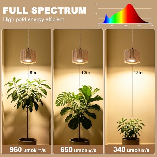 Hanging Grow Light, 30W LED Lamp with Timer for Indoor Plants | 4000K LED plant lamp with 15 ft cord, outlet timer, and boho paper rope shade for succulents, herbs, and low-light rooms. - color: Scallop