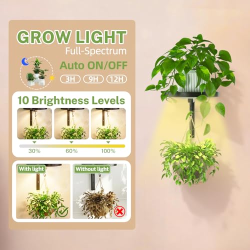 iDavosic.ly Wall Plant Holder with Grow Lights Set of 2 for Indoor Outdoor, Metal Hanger with 2 Hooks, Floating Flower Display Stand for Window, Space Saving & Easy to Assemble (Pots Not Included) - color: Black with 2 Lights, size: 2 Pack