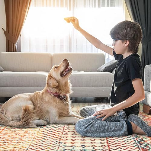 4x6 Rug for Living Room, Soft Non Slip Indoor Front Door Mat, Low-Pile Machine Washable Area Rug Floor Carpet for Bedroom Classroom Office Dining Room - color: Multi Color, size: 4' x 6' (Rectangular)