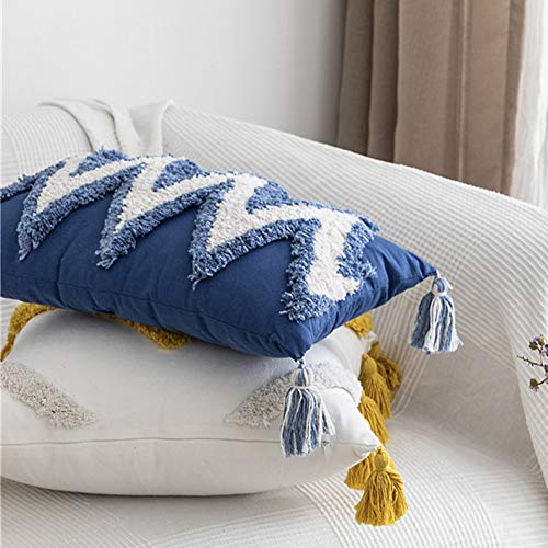 Geometric Embroidery Tufted Lumbar Throw Pillow Covers 12x20 Inch Farmhouse Cotton Canvas Woven Tufted Tassel Cushion Covers Home Decor (Blue,12"x20")