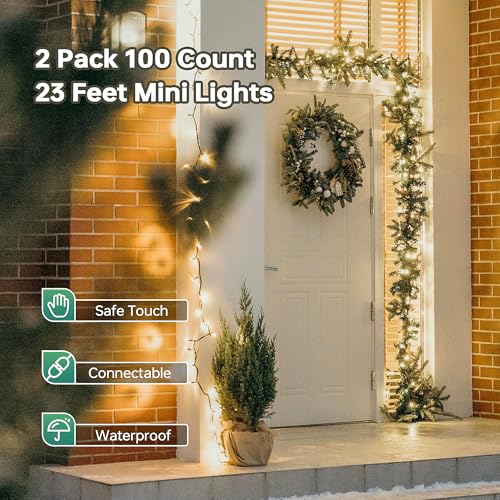 YOUNGAR Christmas Lights, Clear Outdoor Lights,2 Pack 23FT 100 Green Wire Light Connectable Incandescent Mini Light, Approved Tree Lights for Xmas Home Patio Holiday Party Garden Decor(Warm White) - color: Warm White, Green Wire, size: 100 Count 2Pack