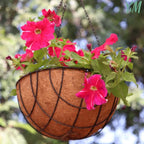 Y&M 4pcs 14 Inch Pre-Formed Round Coco Fiber Hanging Basket Liner,Coconut Replacement Liner - size: 4pcs 14in