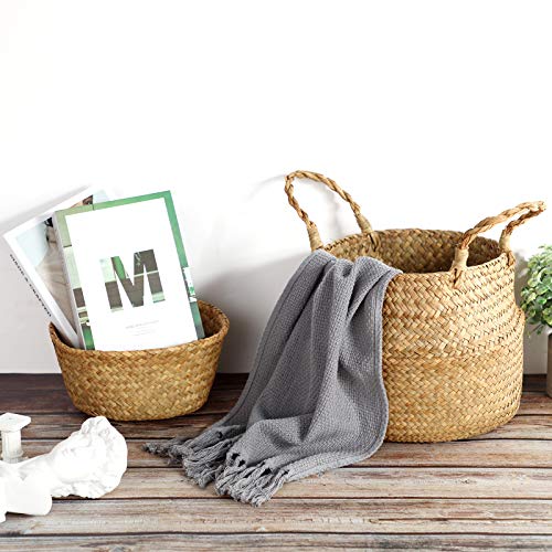 Patelai 3 Set Seagrass Belly Storage Basket Woven Plant Pot Holder with Handles for Plants Picnic Grocery Laundry(Natural Color)