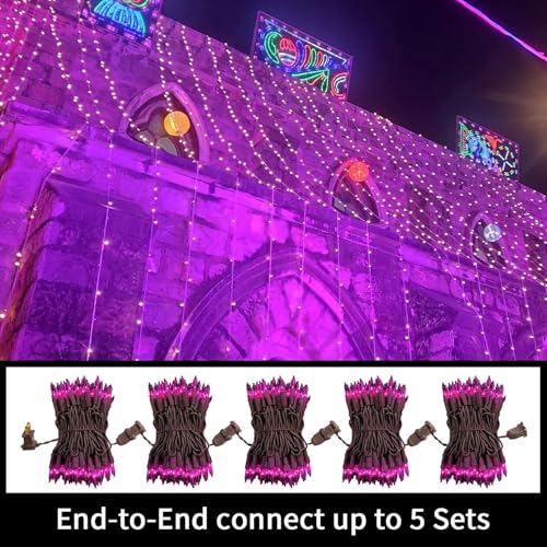 LAMPHOME Halloween Purple String Lights, 100 Mini Fairy Lights Set, Brown Wire 20Ft Traditional Halloween Holiday Décor for Home, Christmas Tree, Bedroom, Patio, Wedding - color: Purple