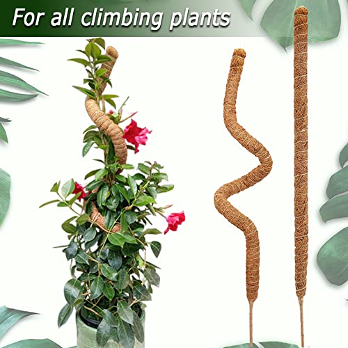 2 Pack 25" Moss Pole, Bendable Moss Pole for Plants Monstera, Moss Poles for Climbing Plants Indoor, Handmade Coco Coir Plant Pole Sticks Support Stakes for Potted Plants - color: 2×25 Inch