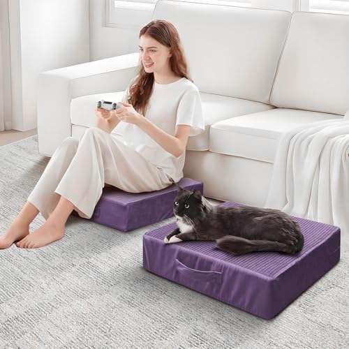 Large Floor Pillows for Adults, Thick Meditation Floor Cushions for Sitting Yoga, 22x22x5 Foam Seat Cushions Set of 2 for Furniture, Floor Pillow with Pleated Velvet Removable Cover, Lavender