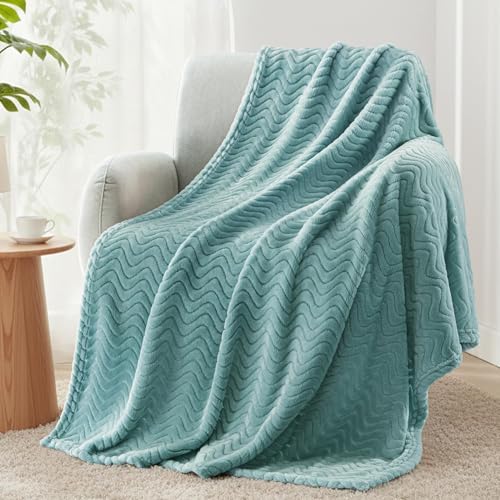 Exclusivo Mezcla Fleece Throw Blanket for Couch, Lightweight Jacquard Bed Blanket for Spring Summer, Soft Cozy Breathable Throws, Celadon, 50x70 Inches - color: Celadon, size: Throw ( 50x70 IN )