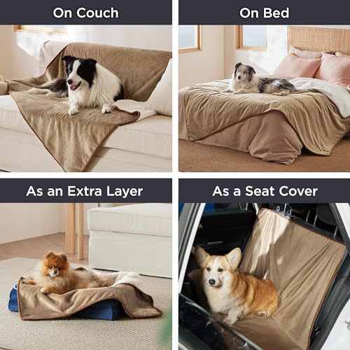 Bedsure Waterproof Dog Blankets for Medium Dogs - Medium Cat Blanket Washable for Couch Protection, Sherpa Fleece Puppy Blanket, Soft Plush Reversible Throw Furniture Protector, 30x40, Camel - color: Camel, size: M(30x40")