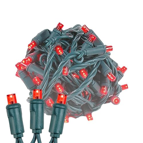 Novelty Lights 25ft 50 LED Red Christmas Lights Outdoor/Indoor, 6" Spacing, Green Wire String Lights for Festive Xmas Lighting, IP55, UL Listed, Dimmable, Connectable - color: Red
