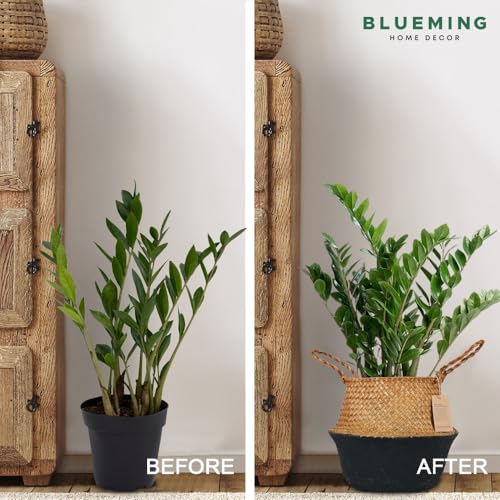 Blueming Large Seagrass Planter Basket – Wicker Planter Pot for Olive Trees, Faux Plants, or Snake Plant, Woven Rattan Planters for Modern Home Decor (Black Bottom, Large) - color: Black Brown, size: Large