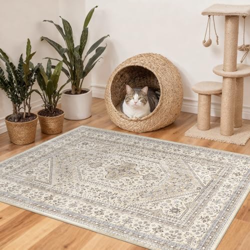 Washable 3x5 Area Rug for Entryway - Bedroom Rugs with Non Slip Rubber Backing for Kitchen Bathroom Indoor Soft Stain Resistant Carpet Rug for Pet Feeding Area and Distressed Floor Decor Beige/Gray - color: Beige/Gray, size: 3' x 5' (Rectangular)