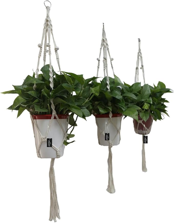 Macrame Plant Hangers Set of 3 – Handmade 39-Inch Indoor/Outdoor Hanging Planters in Ivory with Beads, Boho Home Decor for Pots up to 9 Inches (Pots Not Included)