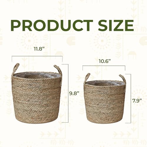 Set of 2 Woven Seagrass Planter Baskets with Handles – Handwoven Plant & Flower Pots for Indoor or Outdoor Use, Natural Straw Storage Baskets for Laundry Room, Living Room & Home Decor - size: Set of 2 (with handles), style: With handles