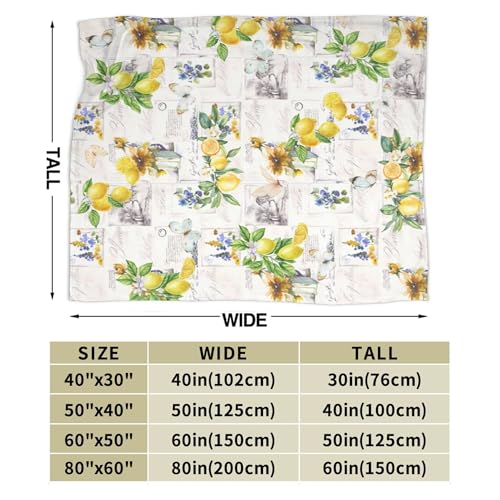 Lemon Throw Blanket for Couch Chair Sofa Bed, Flannel Soft Watercolor Summer Fruits Floral Butterfly Vintage Blanket for Bedroom Living Room Car, Warm Cozy Farmhouse Blankets for All Season 30"x 40" - color: Lemon06, size: 30X40 inch