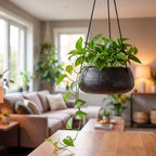 8 Inch Hanging Planters for Indoor Plants - Small Hanging Flower Pots with Drainage Holes Round Ceramics Hanging Plant Pots Black - color: Black