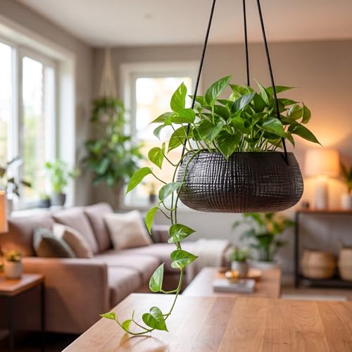 8 Inch Hanging Planters for Indoor Plants - Small Hanging Flower Pots with Drainage Holes Round Ceramics Hanging Plant Pots Black - color: Black