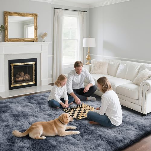 Fluffy Rug Shag Area Rug, Mottling Dark Grey 2x4 Area Rugs for Bedroom, Small Bedside Rug, Soft Fluffy Shag Entryway Throw Rugs for Living Room Bedroom Room Home Decor - color: Mottling Dark Grey, size: 2' x 4' (Rectangular)