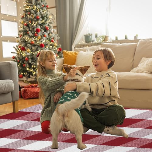 Buffalo Plaid Area Rug, Checkered Rug 3x5 Ft, Red and White Rug, Washable Cotton Mat for Front Porch, Entryway, Kitchen, Living Room, Christmas Decor - color: Red & White, size: 3' x 5' (Rectangular)