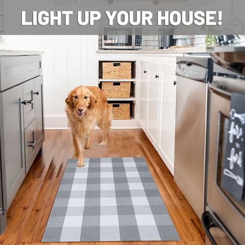 IOHOUZE Buffalo Plaid Checkered Rug 27.5" X 43" Front Door Mats, Washable Area Rugs for Front Porch Decor, Spring Summer Welcome Mats Outdoor, Gray White Rug for Farmhouse/Entryway/Home Entrance - color: Grey and White, size: 2'4" x 3'8" (Rectangular)