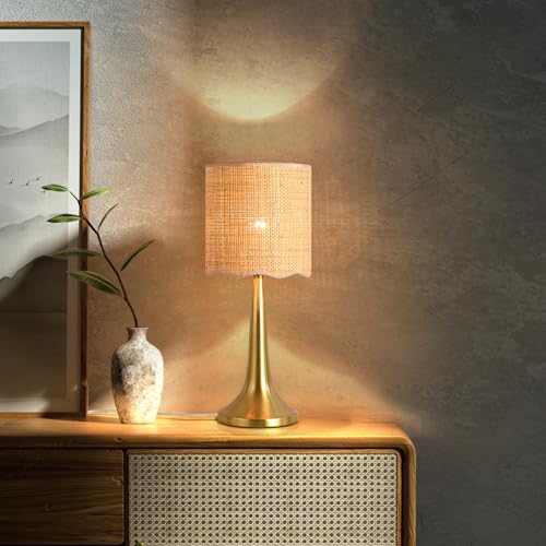 Ziqqeelam Gold Rattan Table Lamp for Bedroom, Brass Cute Wicker Lamps for Bedside Nightstand, Small Table Shape Lamps for Small Spaces for Kitchen Counter, Home Office, Living Room, Kids Dorm - color: Gold